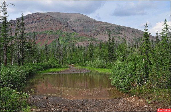Норильск трущобы