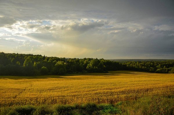 Природа Подмосковья