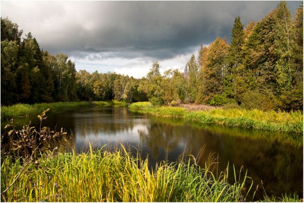 Пейзажи Подмосковья