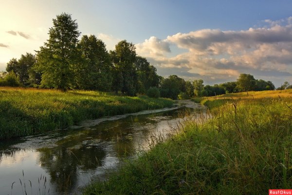 Подмосковная природа