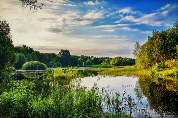 Природа Подмосковья