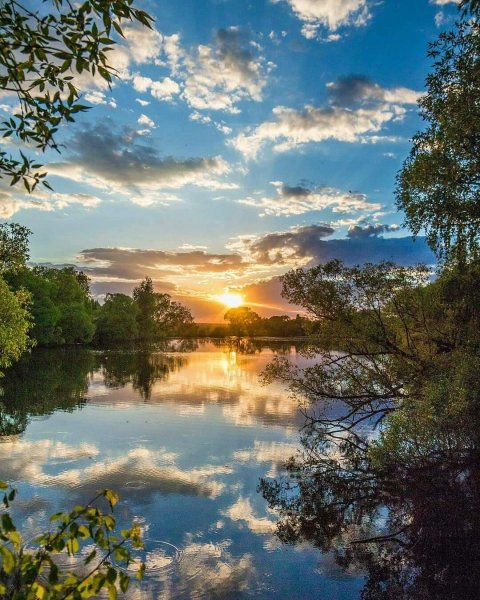 Руза Московская область природа