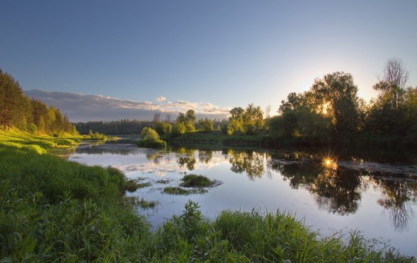 Река Солоница Костромская область