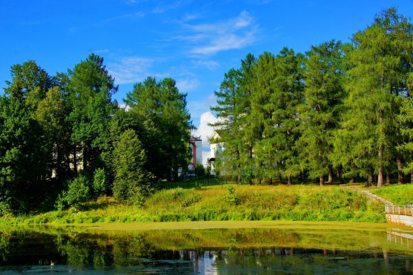 Природа Ступинского района Московской области