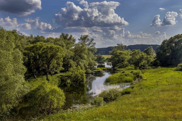 Природа Подмосковья