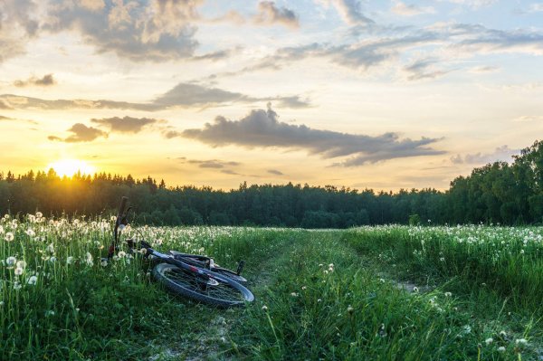 Природа Подмосковья