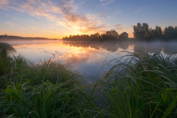 Природа Дубны Московской области
