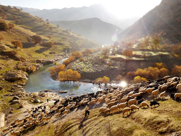 Иран Северная Осетия