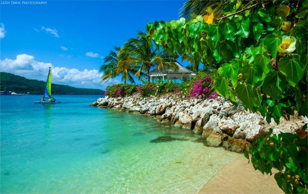 Красивые пейзажи Ямайки