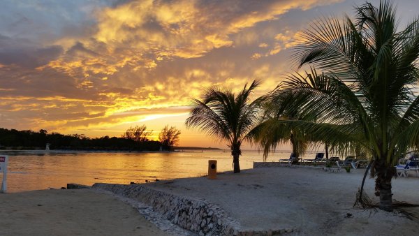 Ямайка природа