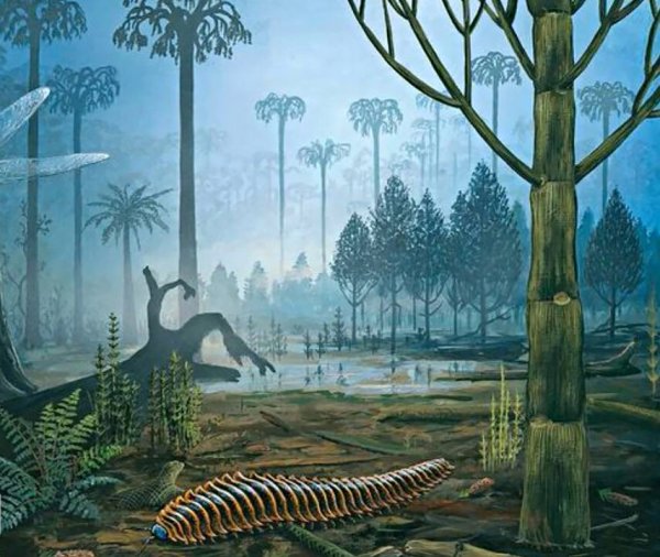 Девонский период палеозойской эры