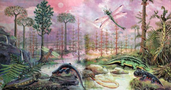 Палеозойская Эра каменноугольный период климат