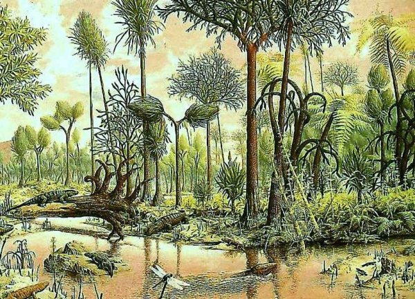 Каменноугольный период палеозойской эры