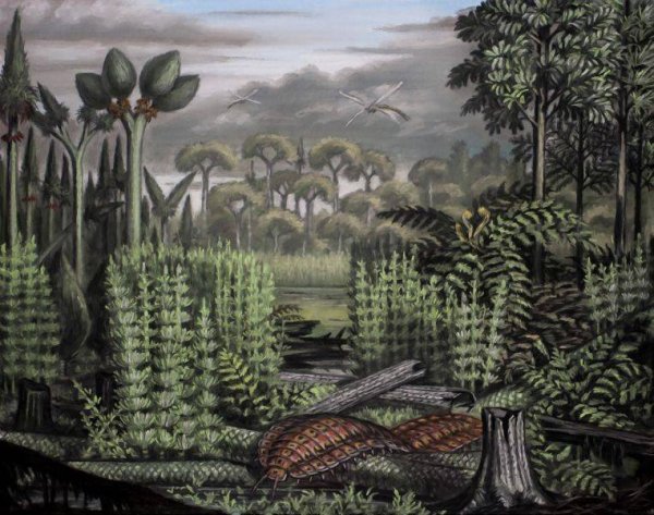 Пермский период палеозойской эры