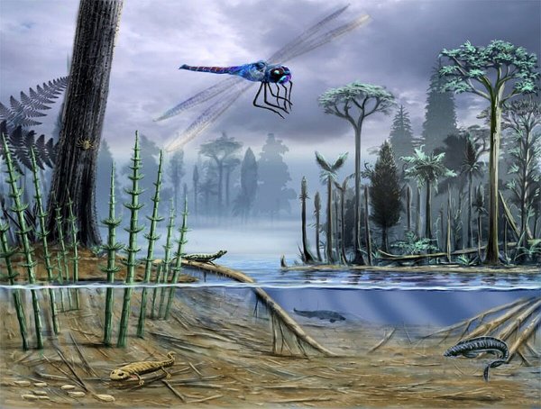 Плауны палеозой