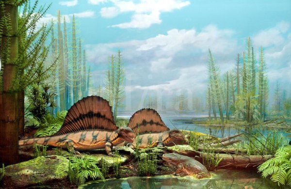 Девонский период палеозойской эры