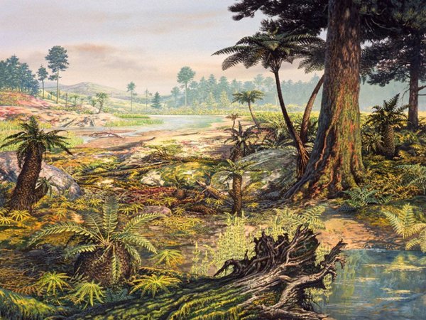 Каменноугольный период карбон фауна