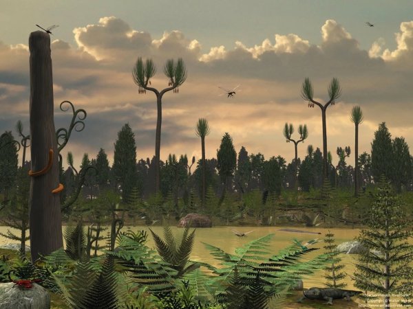 Карбон каменноугольный период