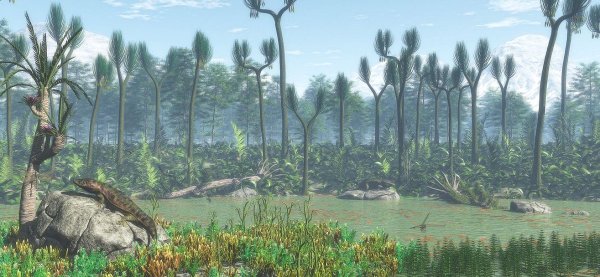 Каменноугольный период растения