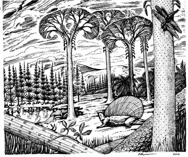 Юрский мезозойской эры растения