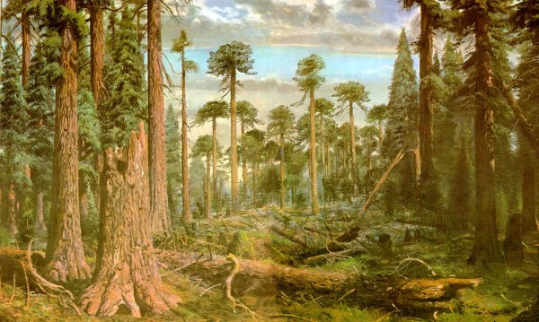 Пермский период Эдафозавр