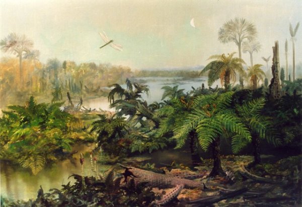 Гравюра джунгли