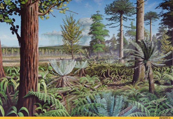 Палеозойская Эра Девонский период Флора