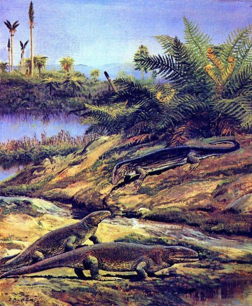 Девон период палеозойской эры