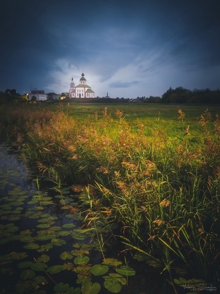 Александр Мельников картина в деревне лето