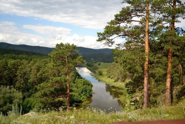 Скала Аргус Куса