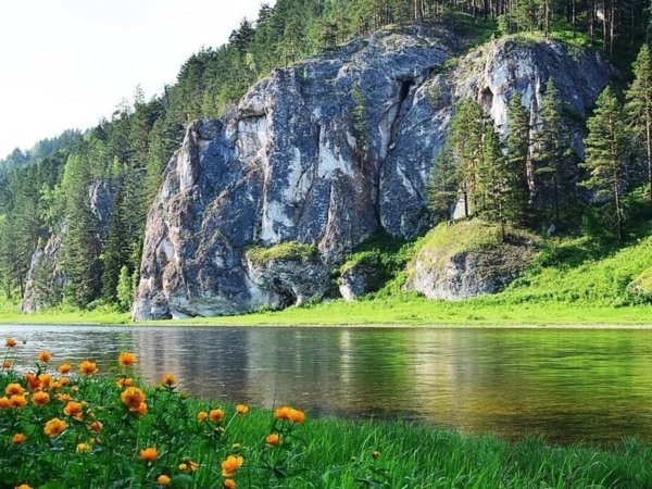 Кия (приток Чулыма)