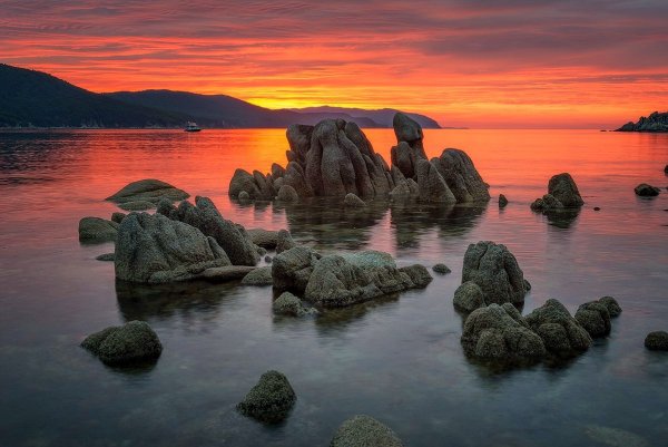 Природа Приморья дальнего Востока