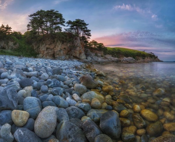 Дальневосточный морской заповедник