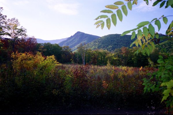 Лифанча Приморский край