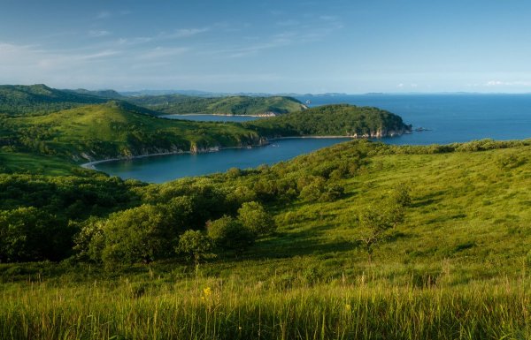 Природа острова русский Приморского края