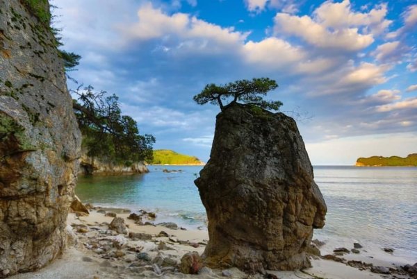 Дальневосточный морской заповедник Приморский край Хасанский район