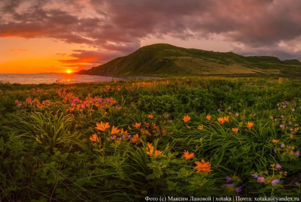 Находка Приморский край природа