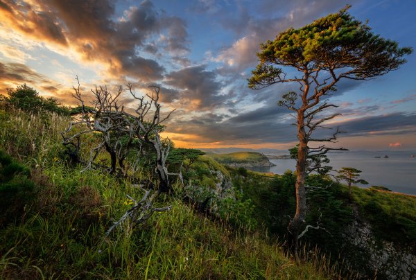 Природа дальнего Востока Приморье России