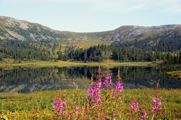 Озеро Ойское Красноярский край