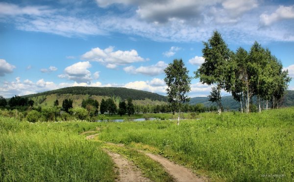 Поля Красноярского края