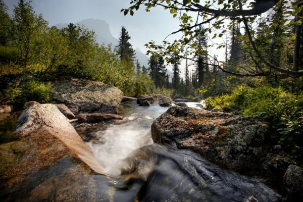 Пприроднгый папк епргаки