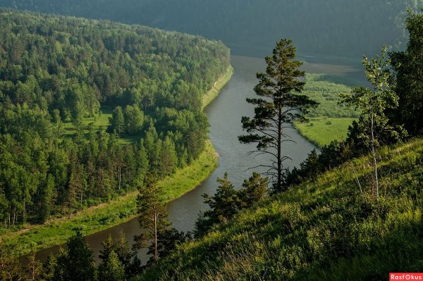 Тайга река Енисей