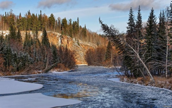 Тайга река Енисей