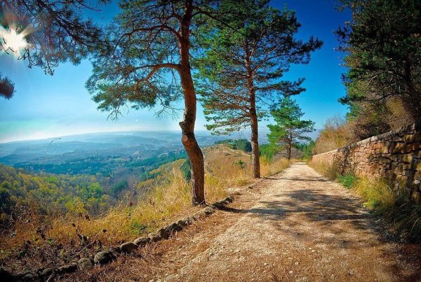 Кисловодский Курортный парк