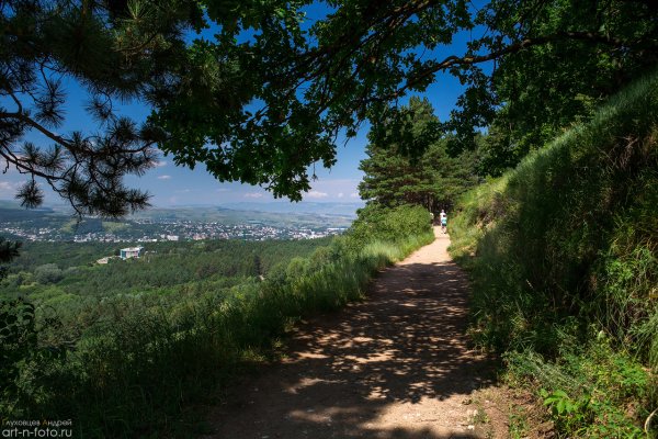 Кисловодск парк холмы