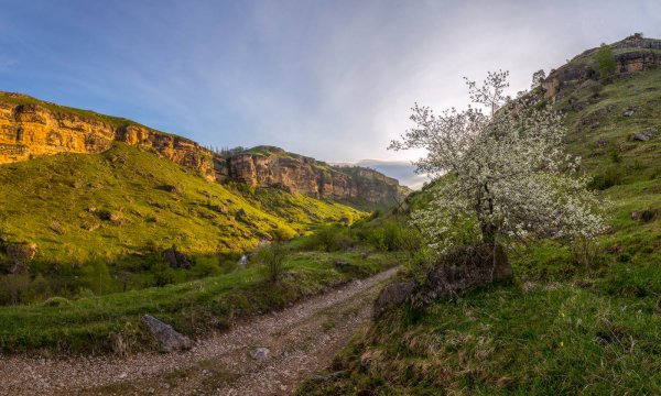 Пятигорск Машук рассвет