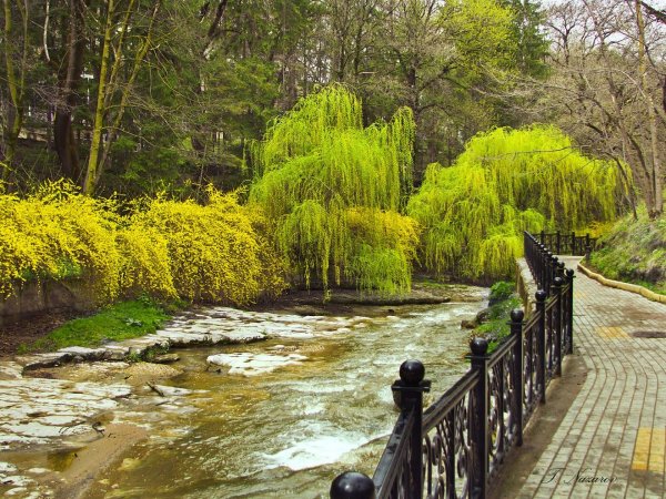 Кисловодск природа парк