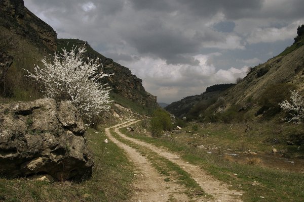 Кисловодск парк горы