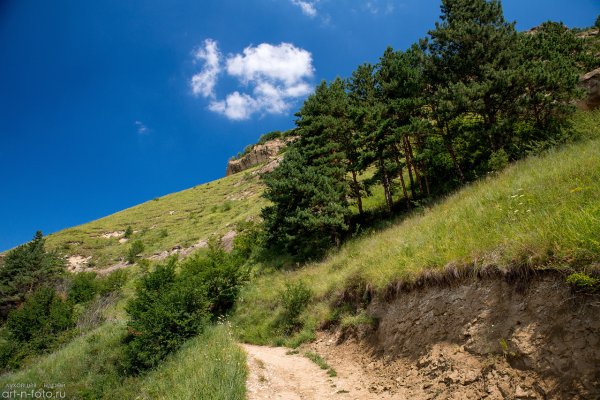 Кисловодск парк горы