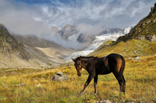Пейзажи природы Кавказа